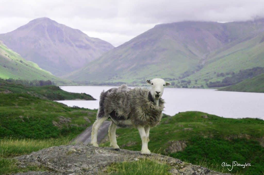 Lake District Photo Competition